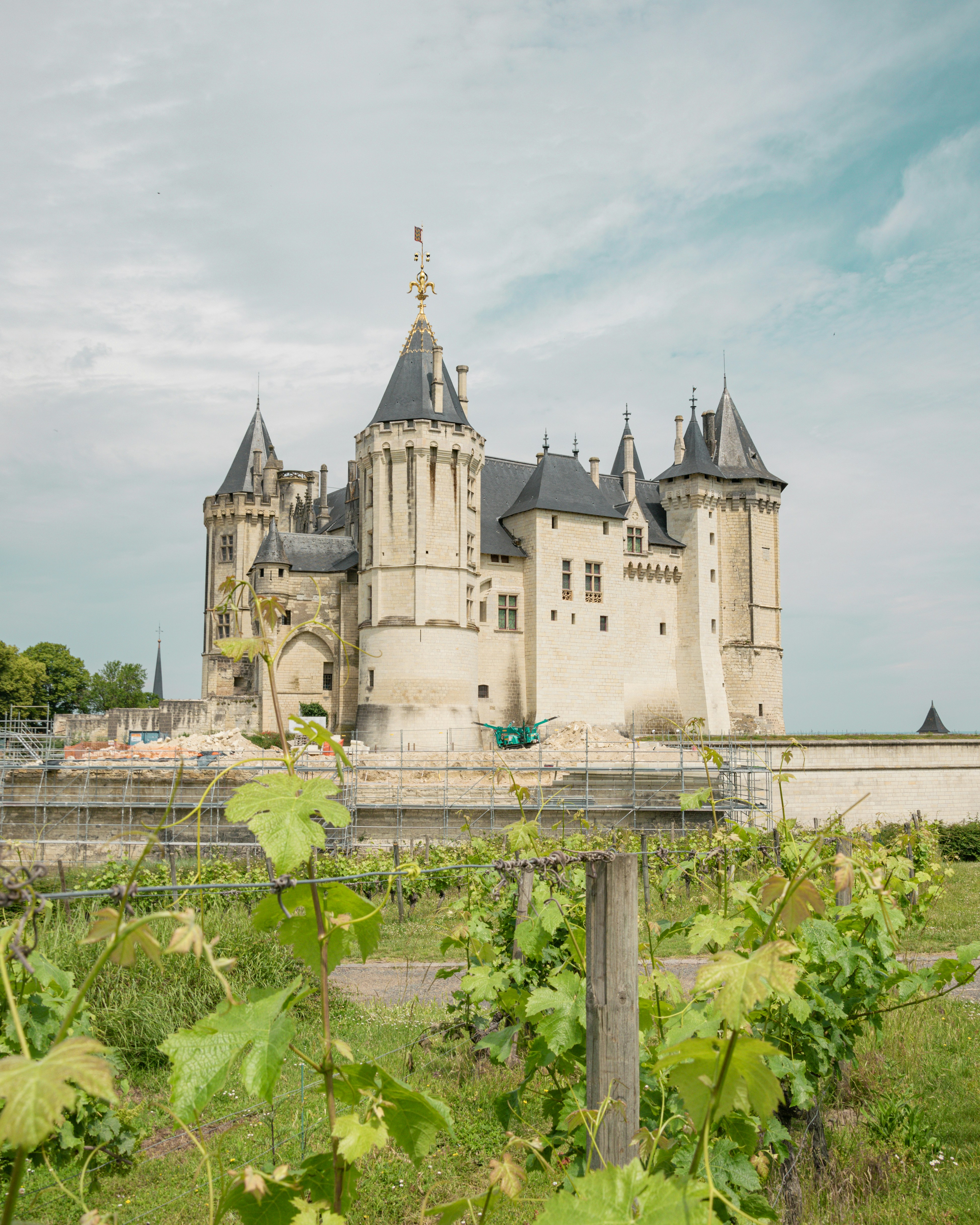 Loire Valley: The French Renaissance — 10
